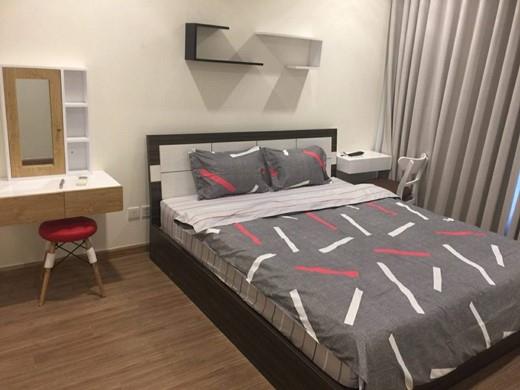 apartment for rent in Binh Thanh district  BT105L541(4)